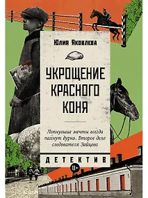 Купить Укрощение красного коня — Фото №1