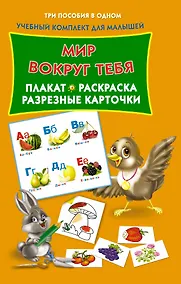 Купить Мир вокруг тебя. Плакат, раскраска, разрезные карточки — Фото №1