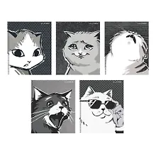 Купить Тетрадь в клетку Listoff, "Монохромные котики (Эксклюзив)", 96 листов, в ассортименте — Фото №1