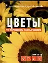 Купить Цветы: Что выращивать? Как выращивать?: Практическое руководство — Фото №1
