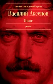 Купить Ожог : роман — Фото №1