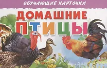 Купить Обуч.карт.Домашние птицы — Фото №1