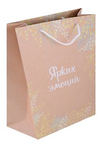 Купить Пакет А6 16*12*6 "Ярких эмоций" крафт, женск. — Фото №1