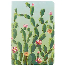 Купить Тетрадь общая «Blooming cactus», 24 листа в клетку, А5, в ассортименте — Фото №1