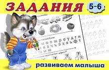 Купить Задания 5-6 — Фото №1
