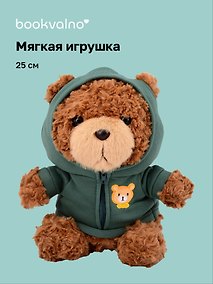 Купить Мягкая игрушка Мишка (25см) (в зеленом худи) (коричневый) (12-202602-MSH10/1) — Фото №1