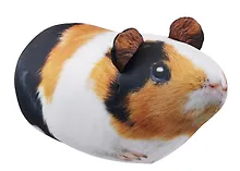 Купить Подушка декоративная антистресс Морская свинка (32х15) (АН2024-12) — Фото №1