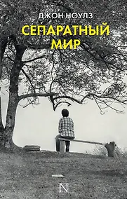 Купить Сепаратный мир : роман — Фото №1