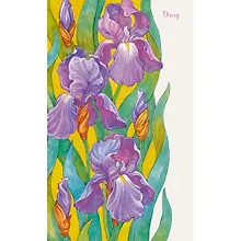 Купить Ежедневник, Эксмо А5 112л. н/датир. Цветы. Нежные ирисы твердая обложка ЕЖ18511206 — Фото №1