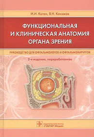Купить Функциональная и клиническая анатомия органа зрения. Руководство для офтальмологов и офтальмохирургов — Фото №1
