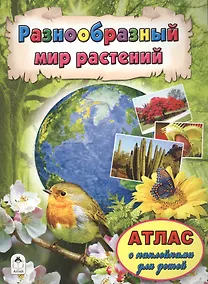 Купить Разнообразный мир растений — Фото №1