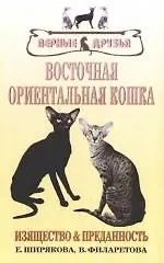 Купить Восточная ориентальная кошка. Изящество и преданность — Фото №1