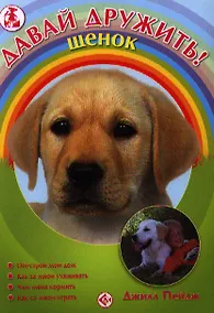 Купить Щенок — Фото №1