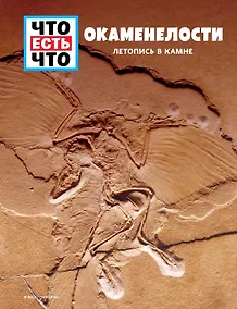Купить ОКАМЕНЕЛОСТИ. Летопись в камне — Фото №1