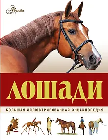 Купить Большая иллюстрированная энциклопедия. Лошади — Фото №1