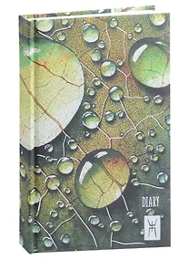 Купить Ежедневник недат. А5 128л "Drops" 7БЦ, обл.поролон, лам.soft touch, тисн.сер.и зол.фольгой, офсет — Фото №1