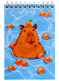 Купить Блокнот А6 60 листов, клетка, "Капибара-2" гребень — Фото №1