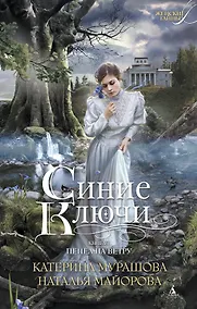 Купить Синие Ключи. Книга 1. Пепел на ветру (мягк/обл.) — Фото №1