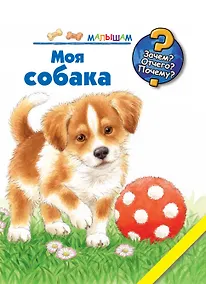 Купить Моя собака — Фото №1