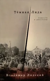 Купить Темная Лида. Повести и рассказы — Фото №1