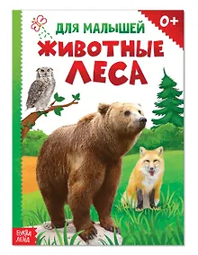 Купить Животные леса для малышей — Фото №1