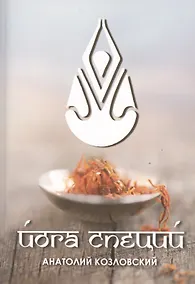 Купить Йога специй (3223) — Фото №1