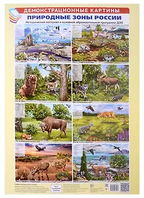Купить Природные зоны России. Демонстрационные картины. Учебно-методическое пособие — Фото №1