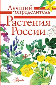 Купить Растения России — Фото №1