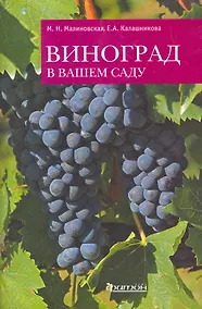 Купить Виноград в вашем саду — Фото №1