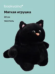 Купить Мягкая игрушка Котик с щечками (черный) (22см) (12-0650-202411-T2) — Фото №1
