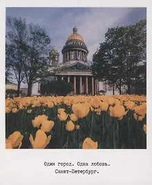 Купить Открытка одинарная «Исаакиевский собор, тюльпан» фото — Фото №1