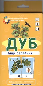 Купить Дуб. Мир растений. Окружающий мир. Игра развивающая и обучающая. Для детей от 5 лет — Фото №1