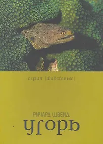 Купить Угорь — Фото №1