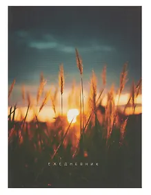 Купить Ежедневник недат. А6 128л "На рассвете" интегр.переплет, ламинация Soft Touch, офсет — Фото №1