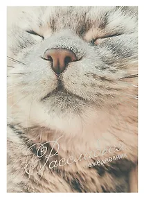 Купить Ежедневник недатированный А5 128 листов, "Расслабься", ламинация Soft Touch — Фото №1