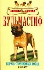 Купить Бульмастиф — Фото №1