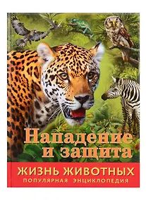 Купить Нападение и защита — Фото №1