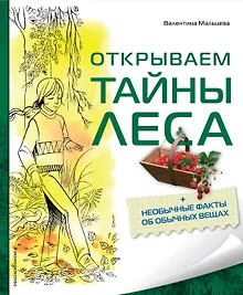Купить Открываем тайны леса — Фото №1