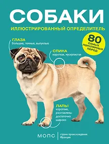 Купить Собаки. 80 самых популярных пород. Иллюстрированный определитель — Фото №1