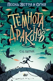 Купить Темнота драконов — Фото №1