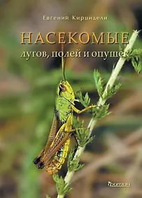 Купить Насекомые лугов, полей и опушек. — Фото №1