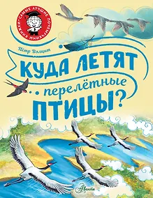 Купить Куда летят перелётные птицы? — Фото №1