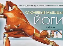 Купить Ключевые мышцы йоги — Фото №1
