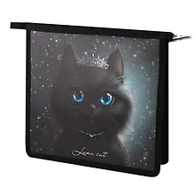 Купить Папка для тетрадей А5 "Принцесса луна" полипропилен, 23.3*20*6.5 см, молния, дно с расширением — Фото №1