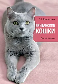 Купить Британские кошки: гид по породе — Фото №1