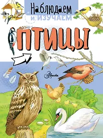 Купить Птицы — Фото №1