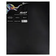 Купить Холст на подрамнике 40*50 чёрный, грунтованный, хлопок 100%, среднезернистый, 280г/м2 — Фото №1