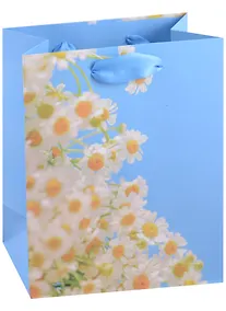 Купить Пакет А5 23*18*10 "Spring blossom" жен., бум.мат.ламинат — Фото №1