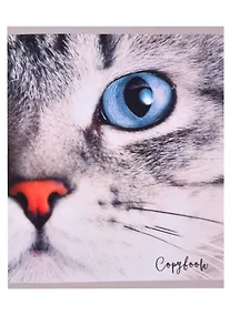 Купить Тетрадь общая «Cat eye» в ассортименте, 48 листов в клетку, A5 - Listoff — Фото №1