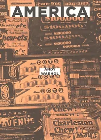 Купить Америка — Фото №1